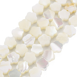 Chapelets de perles de coquille de trochid / trochus coquille, fleur, blanc, 7.5x8x3mm, Trou: 0.8mm, Environ 50 pcs/chapelet, 15.35 pouce ~ 15.75 pouces (39 cm ~ 40 cm)