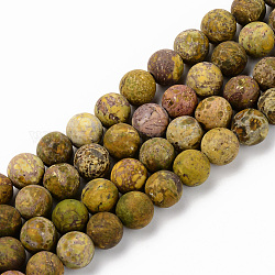 Fili di perline di turchese americano naturale, smerigliato, tinti e riscaldato, tondo, cachi chiaro, 8mm, Foro: 1 mm, circa 45~46pcs/filo, 15.16' (38.5 cm)