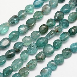 Apatite naturali fili di perle, pietra burrattata, pepite, 6~12x6~13mm, Foro: 1 mm, circa 15.74 pollice