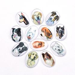 Puppy Photo Flatback Glass Cabochons, for DIY Projects, Dog Pattern, Oval, Mixed Color, 25x18x5.5mm