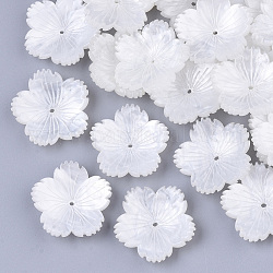 Tappi di perline di plastica a 5 petalo, fiore di prugna, bianco crema, 25.5x26x7mm, Foro: 1.2 mm