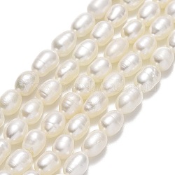 Natural Cultured Freshwater Pearl Beads Strands, Rice, Linen, 6.5~8x4~5mm, Hole: 0.6mm, about 54~56pcs/strand, 14.17''(36cm)