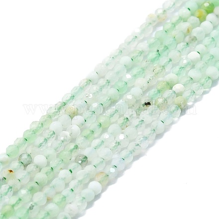 Brins naturels de perles de chrysoprase G-P457-A01-23-1