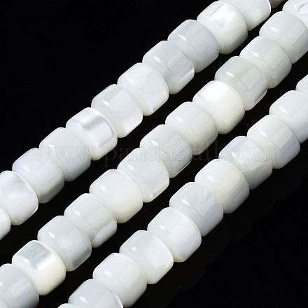 Chapelets de perles de coquille de trochid / trochus coquille SSHEL-S266-016A-02-1