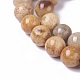 Fossili perle di corallo fili X-G-F648-02-C-3