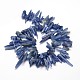 Natural Sodalite Chip Beads Strands G-E271-13-2