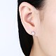 Exquisite 925 Sterling Silver Cubic Zirconia Stud Earrings EJEW-BB20086-2