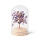 Albero dei soldi con trucioli di ametista naturale in campane di vetro a cupola con decorazioni espositive con base in legno DJEW-B007-04G-1