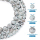 Yilisi 3 brins 3 brins de perles de jaspe sésame naturel/kiwi style G-YS0001-05-3