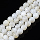 Natural Freshwater Shell Beads Strands BSHE-T009A-01A-1