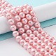 Cuentas perlas de concha de perla BSHE-L025-06-8mm-5