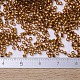 MIYUKI Delica Beads Small X-SEED-J020-DBS0144-4