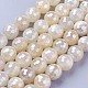 Electroplate Natural White Moonstone Beads Strands G-P430-18-E-2