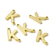 Rack Plating Brass Connector Charms KK-C007-38G-K-1