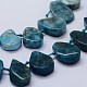 Natural Apatite Beads Strands G-F566-36-3
