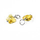Faceted Transparent Glass Charms GLAA-T024-06L-3