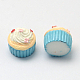 Resin Cabochons CRES-UK0001-03A-2
