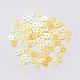 Ornement accessoires plastique paillette / paillettes perles PVC-E001-03-RC01-2