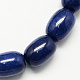 Barrel Shaped Gemstone Dyed Natural Lapis Lazuli Stone Beads Strands G-S114-09-1