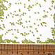 Runde Saatperlen&nbsp;X2-SEED-A004-2mm-4-3