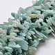 Natural Amazonite Chip Beads Strands X-G-E271-19-1