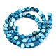 Natural Freshwater Shell Beads Strands SHEL-S276-110A-03-2