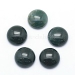 Natural Moss Agate Cabochons, Half Round, 12x5~6mm