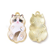 Подвески из эмали и сплава FIND-E031-02B