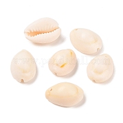 Подвески из каури PTS057Y