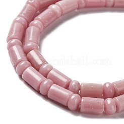 Natürliche rosa Opalkorne Stränge&nbsp;G-L585-B02-01
