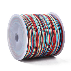 Cordon tressé en nylon teint par segment&nbsp;NWIR-N016-01C