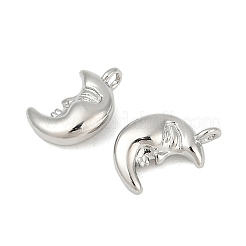 Charms in ottone&nbsp;KK-S527-14P