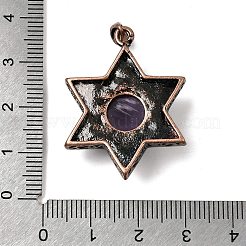 Pendenti d'ametista naturale&nbsp;G-A297-06R-19