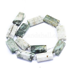 Chapelets de perles en agate d'arbre naturelle&nbsp;G-E530-16L