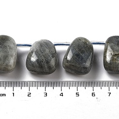 Natur Labradorit Perlen Stränge&nbsp;G-P528-E10-01