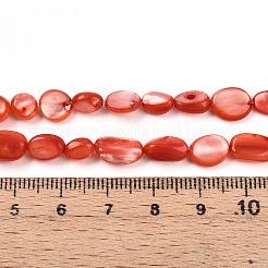 Shell normal de perles blanches de brins&nbsp;SHEL-N036-21F