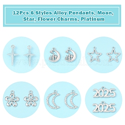 12 pièces 6 styles pendentifs en alliage&nbsp;FIND-FS0003-38P