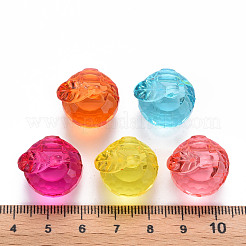 Pendentifs en acrylique transparent &nbsp;TACR-T024-05B