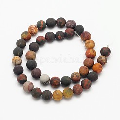 Rotondi smerigliato perle naturali immagine diaspro fili&nbsp;G-N0166-48-10mm