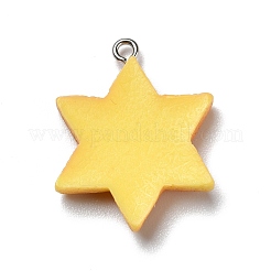 Pendentifs en résine opaque&nbsp;RESI-D055-133P