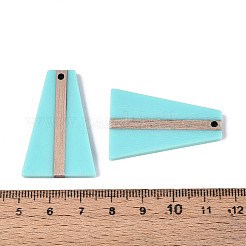 Colgantes de resina opaca y madera&nbsp;RESI-T057-51A