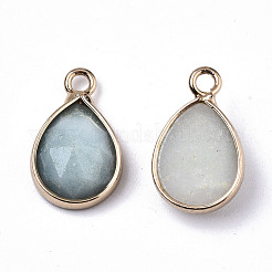 Natürliche Amazonit-Anhänger / charms&nbsp;G-N326-50E