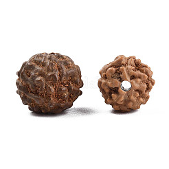 Ungefärbte natürliche Rudraksha-Perlen&nbsp;WOOD-T030-01