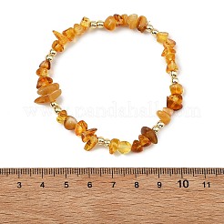 Pulseras unisex de ámbar natural y sintético&nbsp;BJEW-JB13932