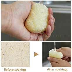40 Stück Peeling-Gesichtspads aus natürlichem Luffa-Schwamm&nbsp;MRMJ-CN0001-01C