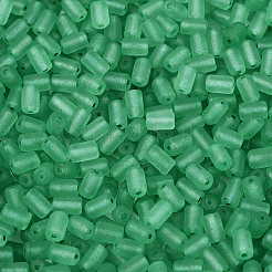 Perline di vetro trasparente satinato fgb&nbsp;SEED-N013-05A-09