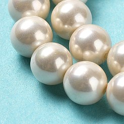Shell-Perle Perle Stränge&nbsp;BSHE-L025-08-6mm-01