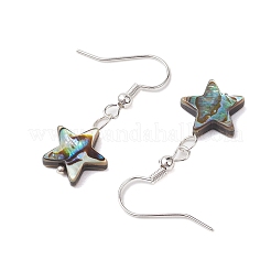 Orecchino pendente con conchiglia di abalone naturale/conchiglia di paua&nbsp;EJEW-JE05916-01