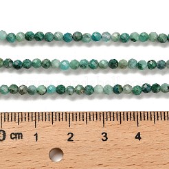 Natur Chrysokoll Perlen Stränge&nbsp;G-K373-B05-02