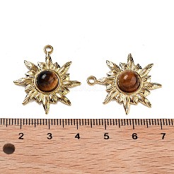 Placcatura ionica (ip) ciondoli in acciaio inossidabile 304&nbsp;STAS-U014-03A-G